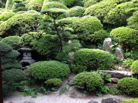 {B94AC63B-911D-400F-B2D6-4C24DFA20202:01}