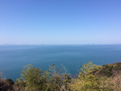 {12425532-3D10-43CD-AFA4-185FEF28911C}