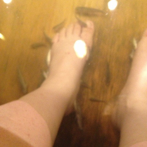 {28F28E4D-1C73-4C38-BD86-78512CA0429B:01}