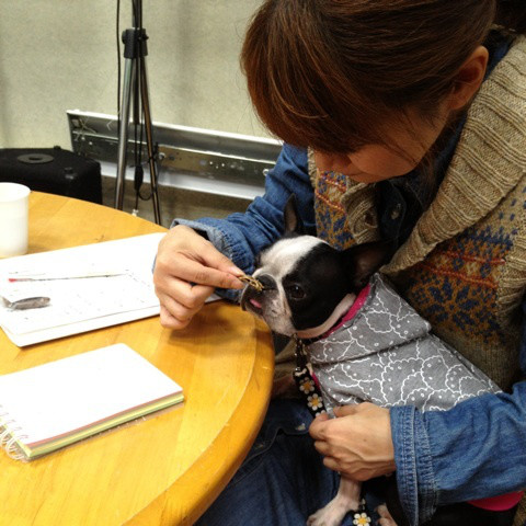 {67816EC2-32CE-4076-91B5-C48F70BDC610:01}