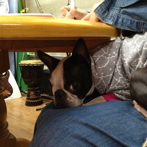 {03D30182-751C-4B5F-B1C8-EB670155B994:01}